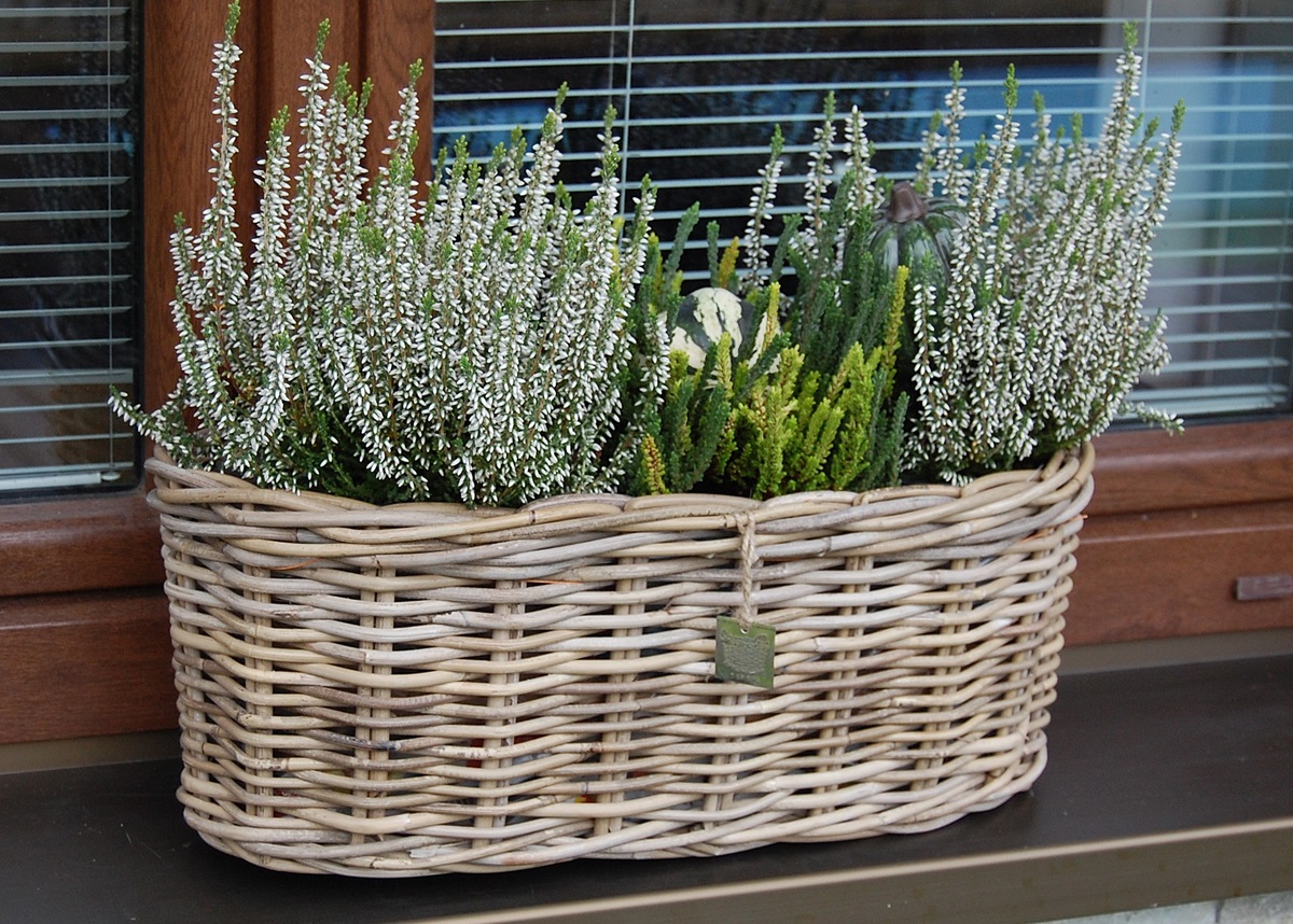 Ratanové KVETINÁČE s fóliou